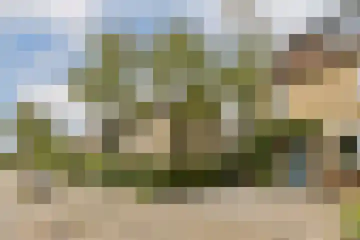 Molenmeesterslag 61 Gouda thumbnail 6