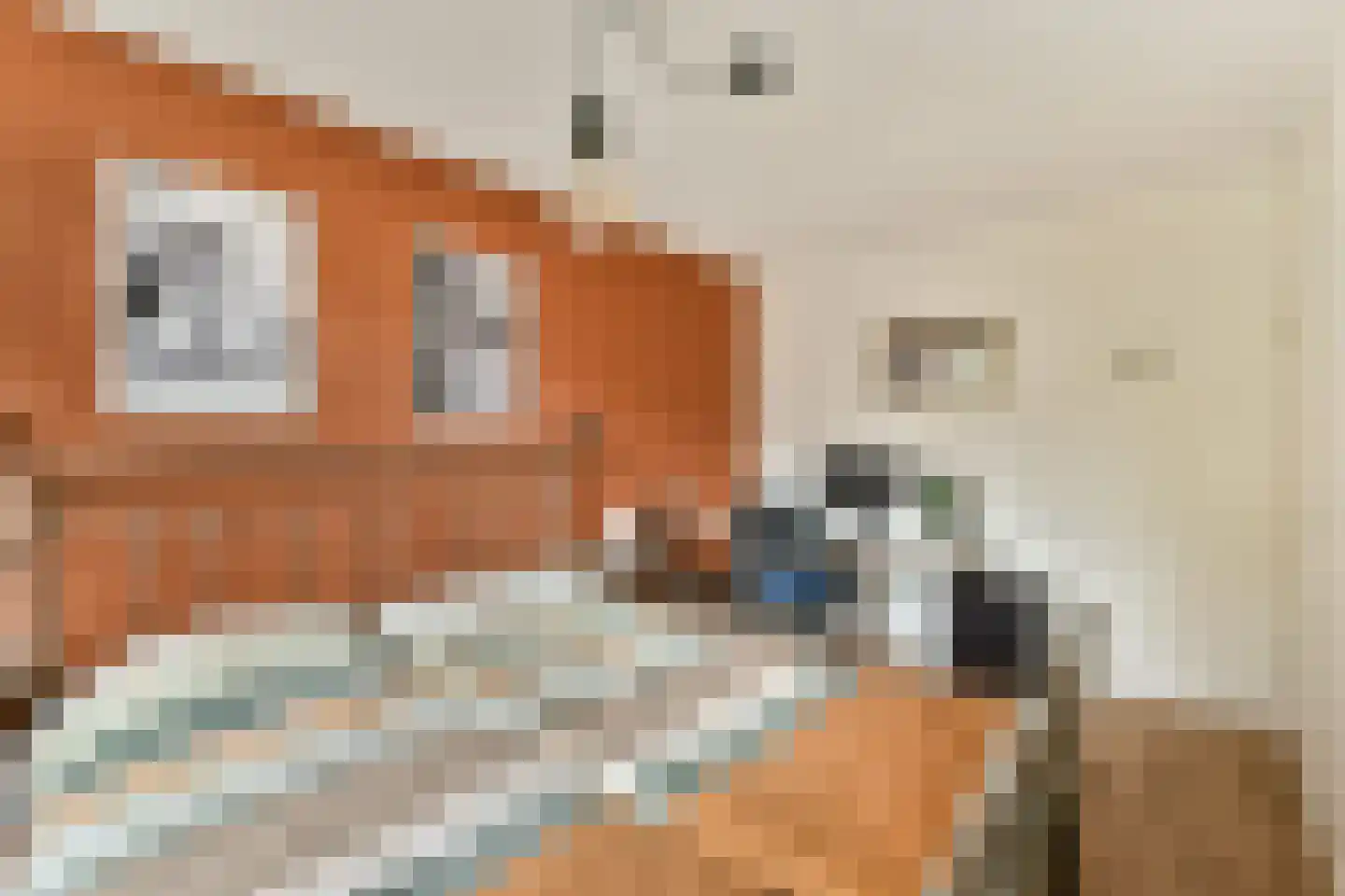 Molenmeesterslag 64 Gouda thumbnail 17