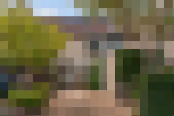 Molenmeesterslag 65 in Gouda