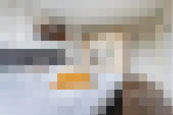Molenmeesterslag 65 Gouda thumbnail 23