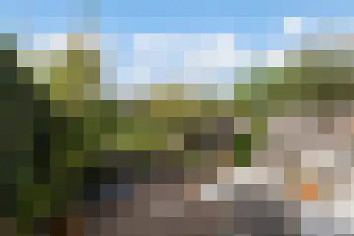 Molenmeesterslag 65 Gouda thumbnail 37
