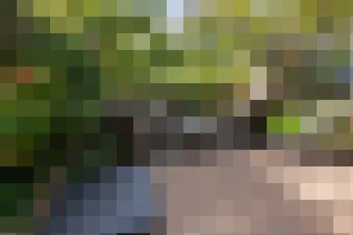 Molenmeesterslag 65 Gouda thumbnail 38