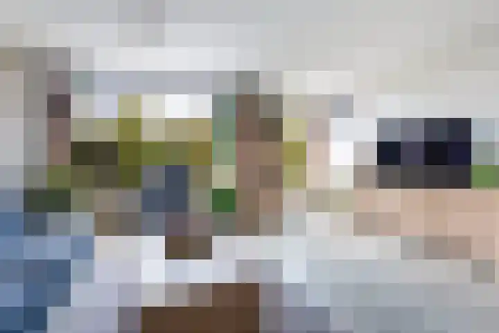Molenmeesterslag 65 Gouda thumbnail 4