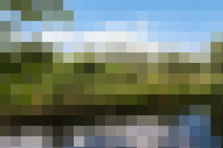 Molenmeesterslag 65 Gouda thumbnail 40