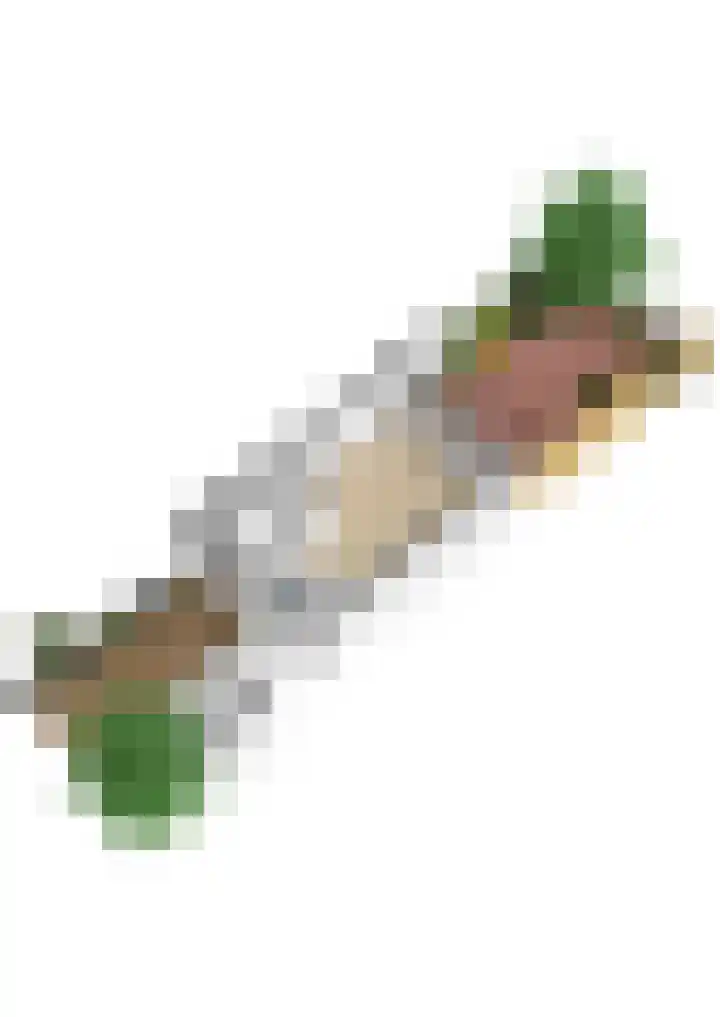 Molenmeesterslag 65 Gouda thumbnail 48