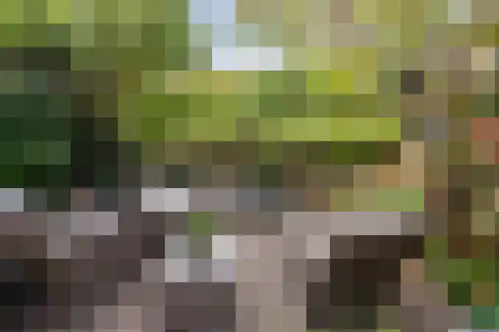 Molenmeesterslag 65 Gouda thumbnail 6