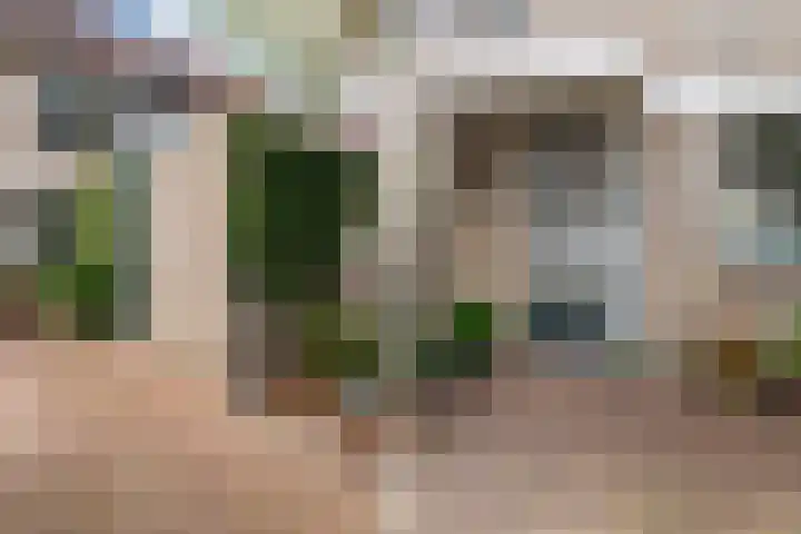 Molenmeesterslag 65 Gouda thumbnail 8