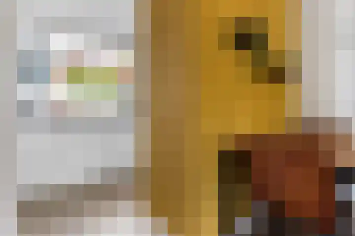 Molenmeesterslag 89 Gouda thumbnail 15
