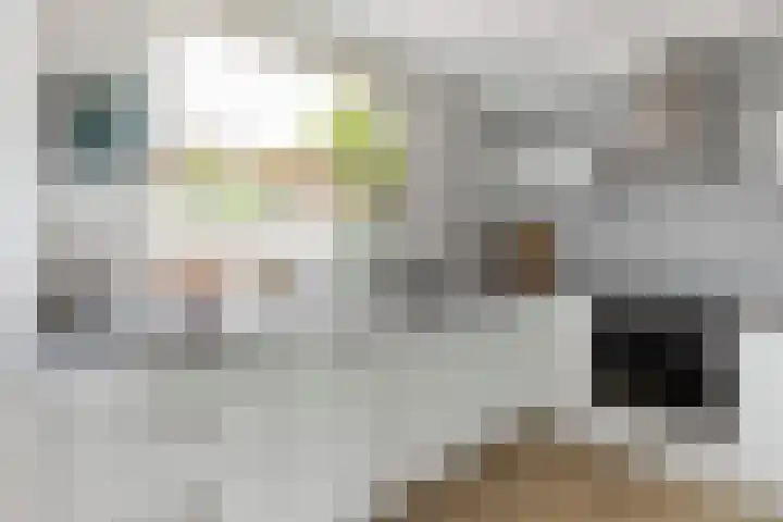 Molenmeesterslag 89 Gouda thumbnail 16