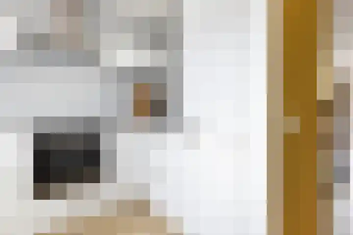 Molenmeesterslag 89 Gouda thumbnail 17