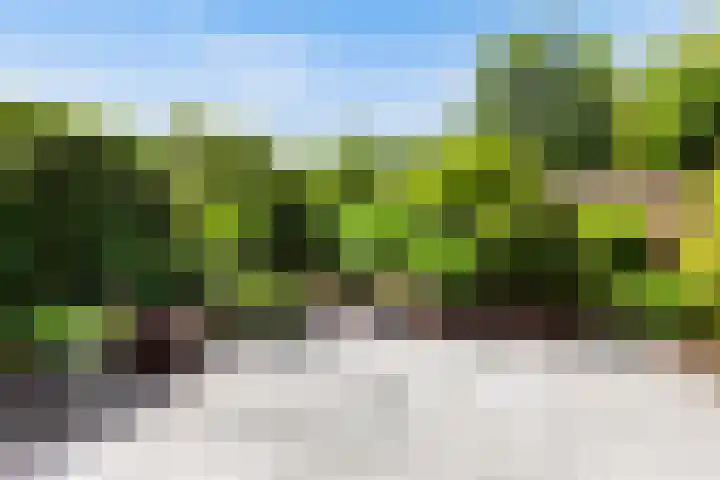 Molenmeesterslag 89 Gouda thumbnail 19