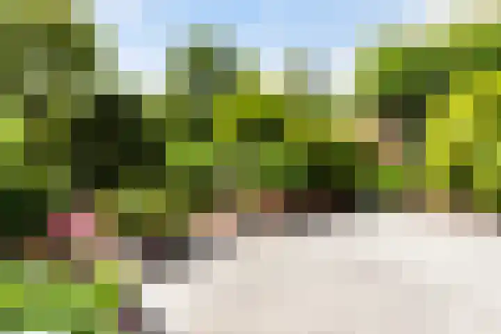 Molenmeesterslag 89 Gouda thumbnail 21
