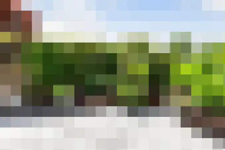Molenmeesterslag 89 Gouda thumbnail 22