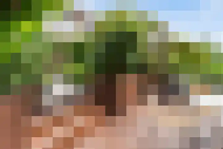 Molenmeesterslag 89 Gouda thumbnail 23