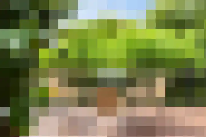 Molenmeesterslag 89 Gouda thumbnail 24