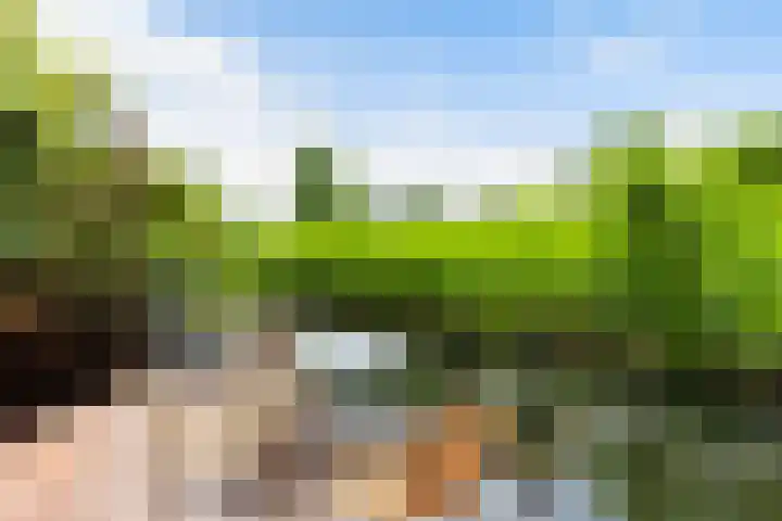 Molenmeesterslag 89 Gouda thumbnail 25