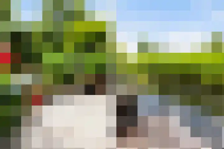 Molenmeesterslag 89 Gouda thumbnail 26