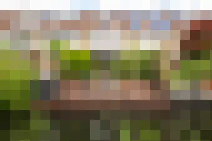 Molenmeesterslag 89 Gouda thumbnail 27