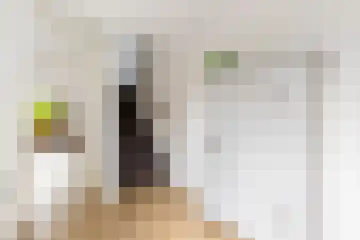 Molenmeesterslag 89 Gouda thumbnail 28