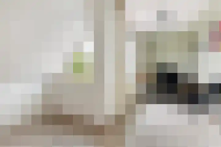 Molenmeesterslag 89 Gouda thumbnail 33