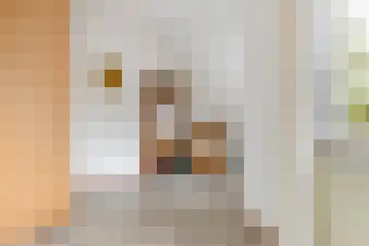 Molenmeesterslag 89 Gouda thumbnail 34
