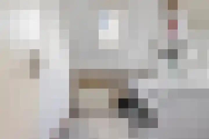 Molenmeesterslag 89 Gouda thumbnail 40