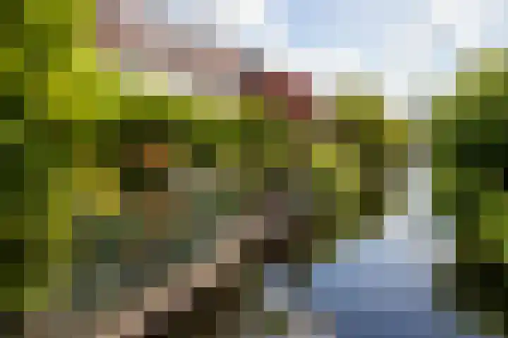 Molenmeesterslag 89 Gouda thumbnail 44