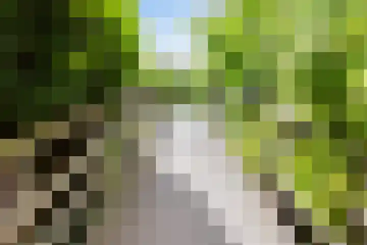 Molenmeesterslag 89 Gouda thumbnail 45