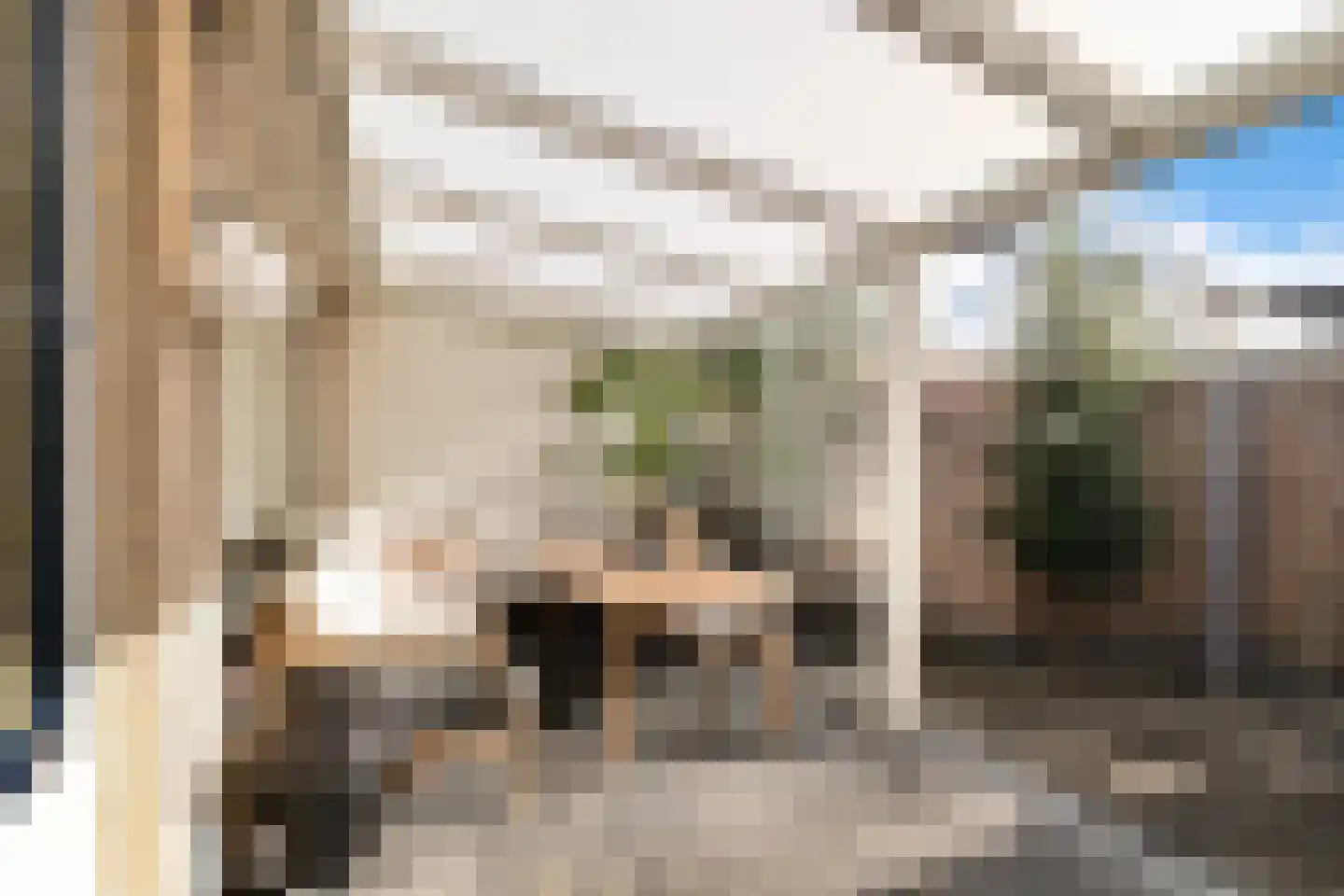 Molenomloop 25 Gouda thumbnail 4