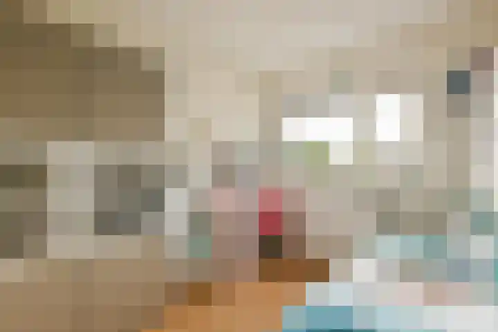 Molenomloop 39 Gouda thumbnail 17