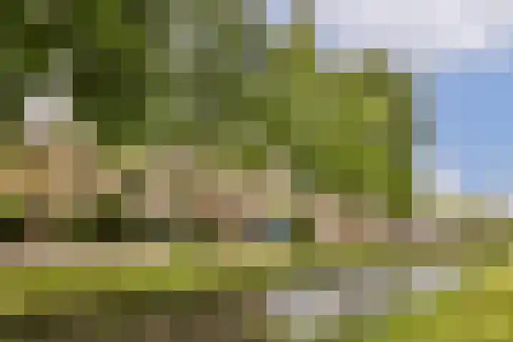 Molenomloop 39 Gouda thumbnail 5