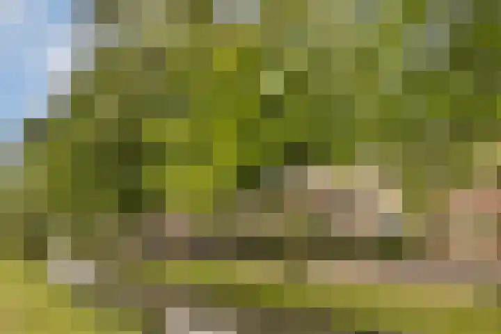 Molenomloop 39 Gouda thumbnail 6
