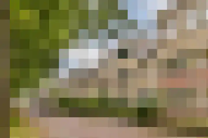 Molenomloop 39 Gouda thumbnail 7
