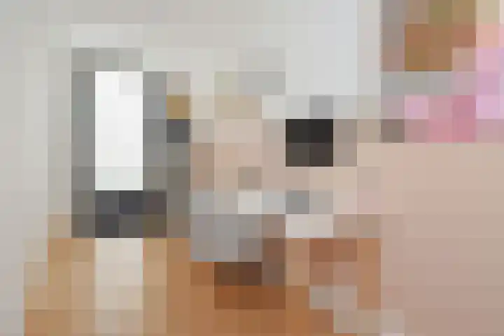 Molenpad 13 Leidschendam thumbnail 5