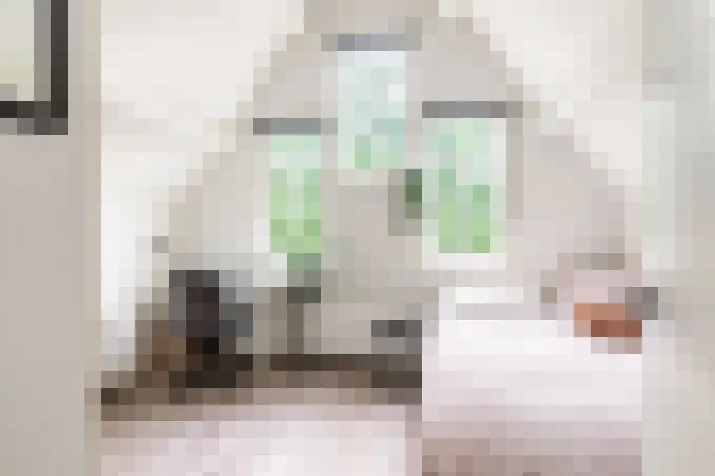 Molenpad 17 Weesp thumbnail 25