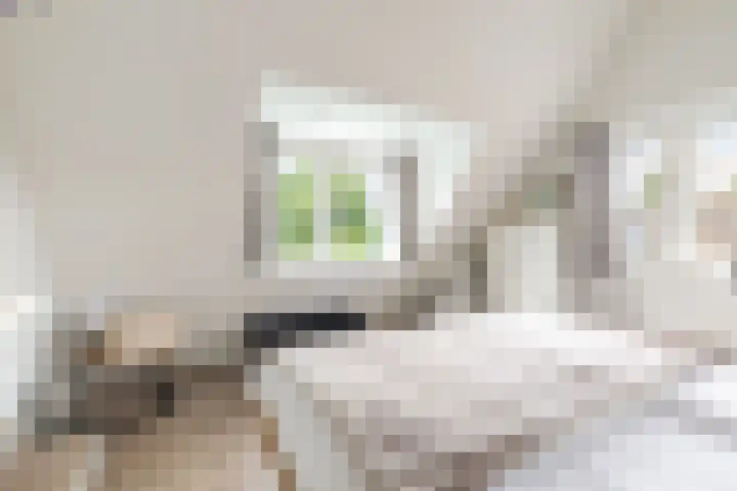 Molenpad 17 Weesp thumbnail 37