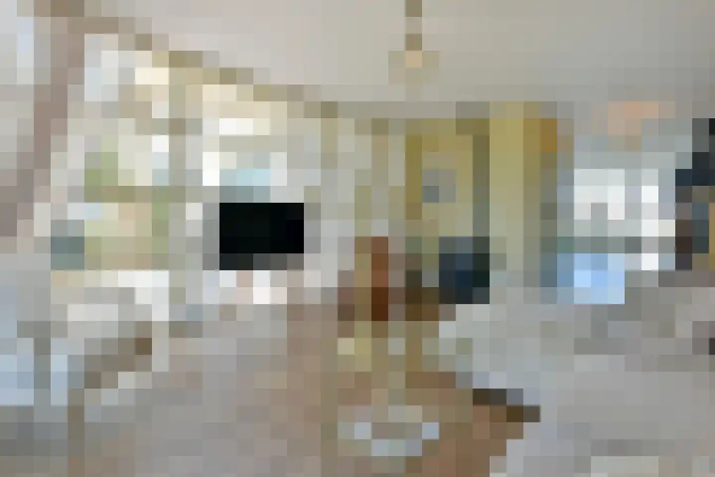 Molenpad 19 Rijnsaterwoude thumbnail 12