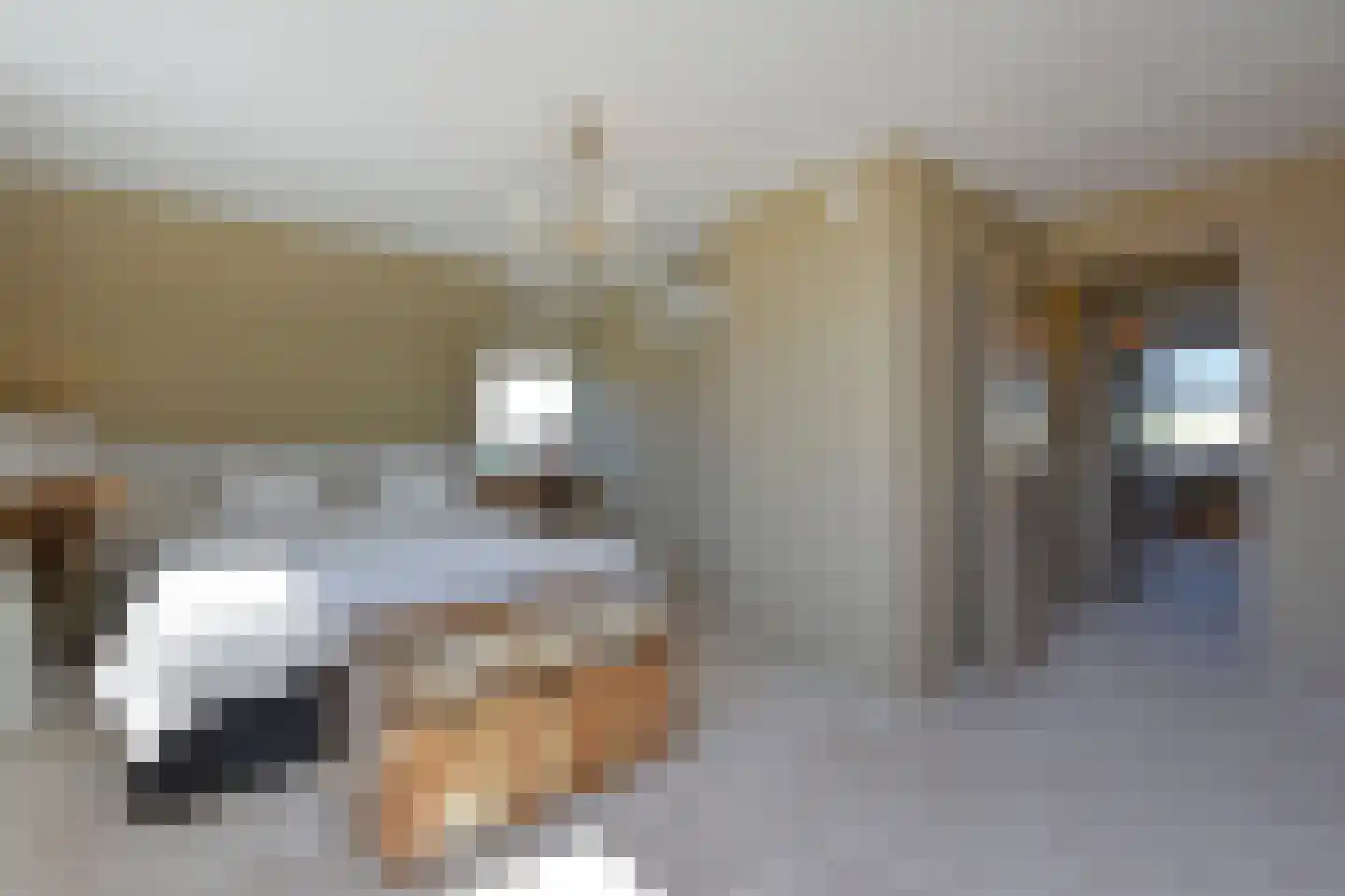 Molenpad 19 Rijnsaterwoude thumbnail 17