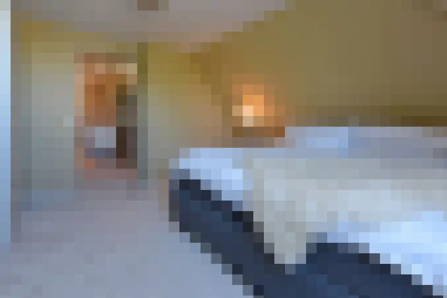 Molenpad 19 Rijnsaterwoude thumbnail 29