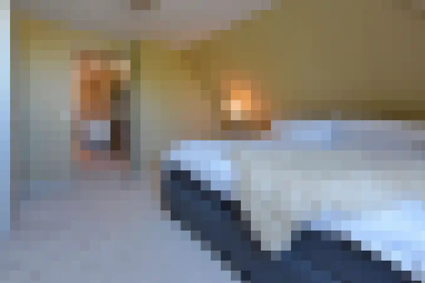 Molenpad 19 Rijnsaterwoude thumbnail 29