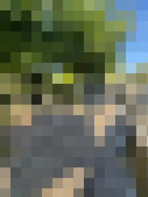 Molenpad 19 Rijnsaterwoude thumbnail 46