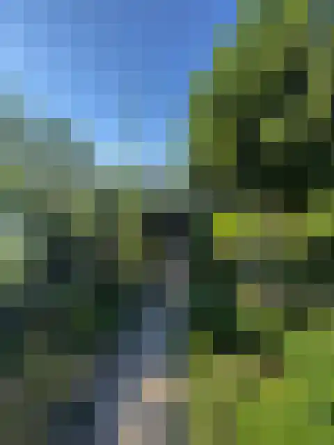 Molenpad 19 Rijnsaterwoude thumbnail 55