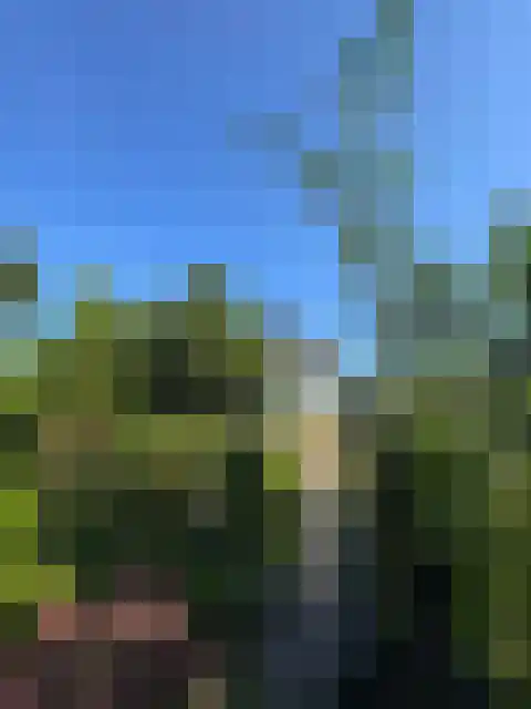 Molenpad 19 Rijnsaterwoude thumbnail 56