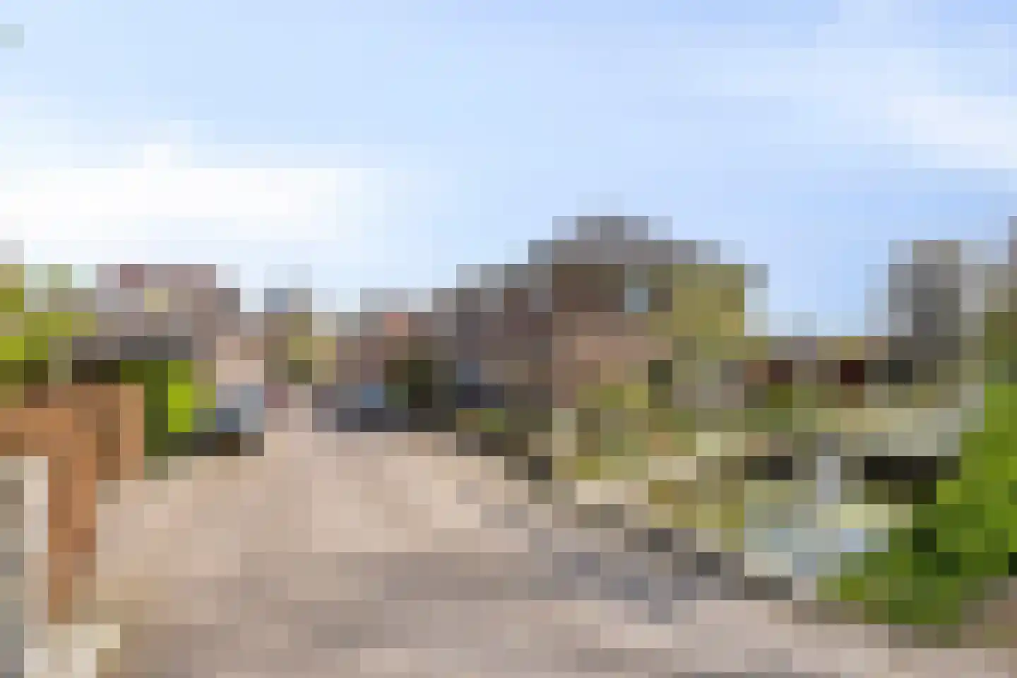 Molenpad 19 Willemstad thumbnail 28
