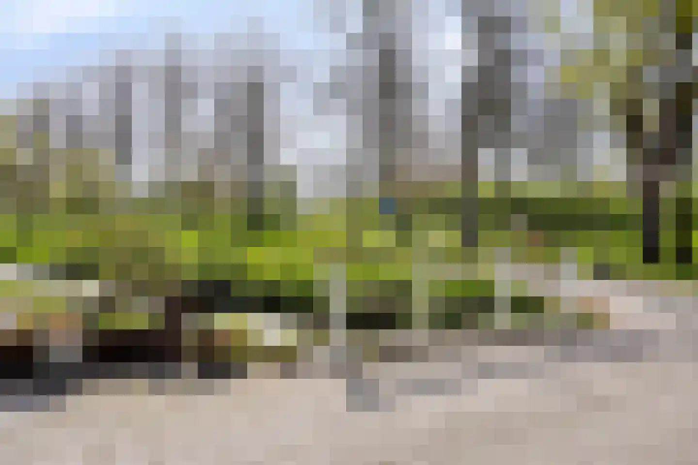 Molenpad 19 Willemstad thumbnail 29