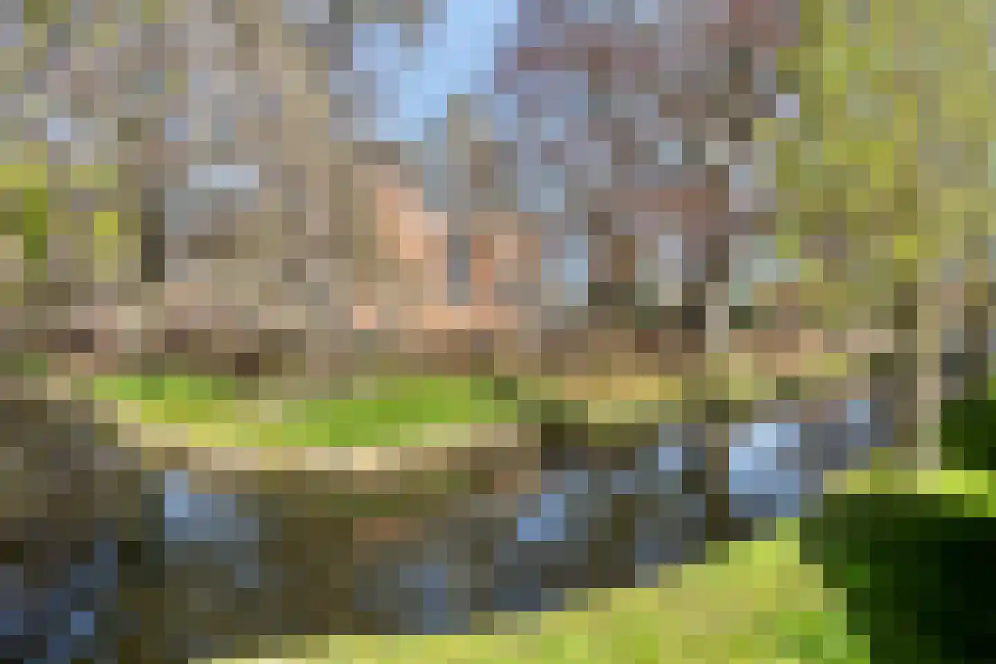 Molenpad 19 Willemstad thumbnail 32