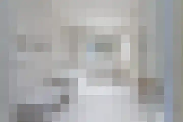 Molenpad 20 Boxtel thumbnail 37