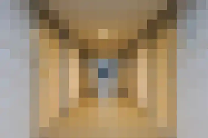Molenpad 20 Boxtel thumbnail 41