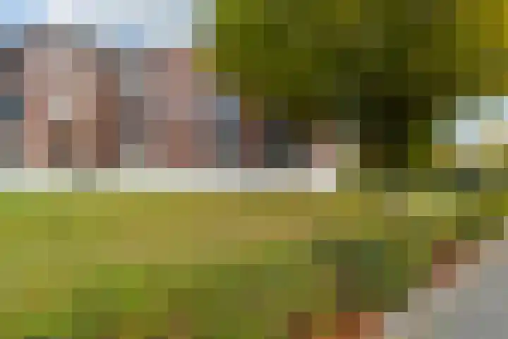Molenpad 20 Boxtel thumbnail 47