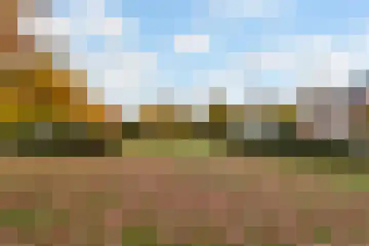 Molenpad 20 Boxtel thumbnail 48